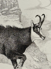 Charger l'image dans la galerie, Nick EDEL (Bordighera 1934-2022 Torino)