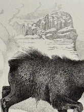 Charger l'image dans la galerie, Nick EDEL (Bordighera 1934-2022 Torino)