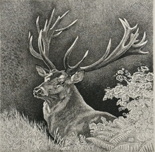 Charger l'image dans la galerie, Nick EDEL (Bordighera 1934-2022 Torino)