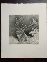 Charger l'image dans la galerie, Nick EDEL (Bordighera 1934-2022 Torino)