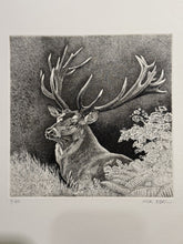 Charger l'image dans la galerie, Nick EDEL (Bordighera 1934-2022 Torino)