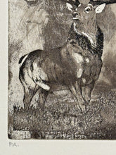 Charger l'image dans la galerie, Nick EDEL (Bordighera 1934-2022 Torino)