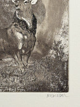 Charger l'image dans la galerie, Nick EDEL (Bordighera 1934-2022 Torino)