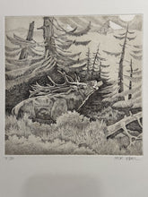 Charger l'image dans la galerie, Nick EDEL (Bordighera 1934-2022 Torino)