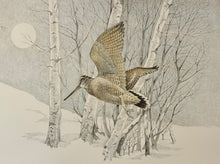 Carica l'immagine nel visualizzatore di Gallery, NicK EDEL (Bordighera 1934-2022 Torino)