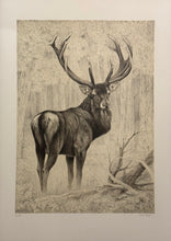 Carica l'immagine nel visualizzatore di Gallery, Nick EDEL (Bordighera 1934-2022 Torino)