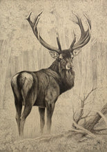 Carica l'immagine nel visualizzatore di Gallery, Nick EDEL (Bordighera 1934-2022 Torino)