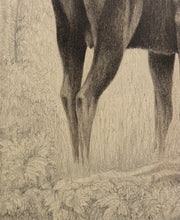 Carica l'immagine nel visualizzatore di Gallery, Nick EDEL (Bordighera 1934-2022 Torino)