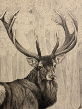 Carica l'immagine nel visualizzatore di Gallery, Nick EDEL (Bordighera 1934-2022 Torino)