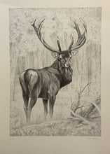 Carica l'immagine nel visualizzatore di Gallery, Nick EDEL (Bordighera 1934-2022 Torino)