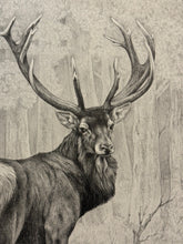 Carica l'immagine nel visualizzatore di Gallery, Nick EDEL (Bordighera 1934-2022 Torino)