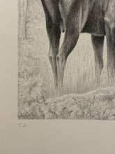 Carica l'immagine nel visualizzatore di Gallery, Nick EDEL (Bordighera 1934-2022 Torino)