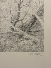 Carica l'immagine nel visualizzatore di Gallery, Nick EDEL (Bordighera 1934-2022 Torino)