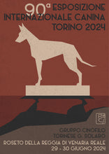 Carica l'immagine nel visualizzatore di Gallery, Roberto BONGIOVANNI e Samuele FOLLI