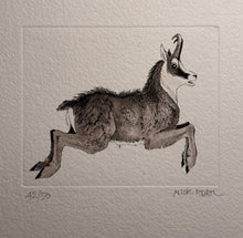 Charger l'image dans la galerie, Nick EDEL (Bordighera 1934-2022 Torino)