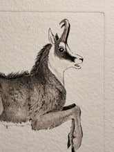 Charger l'image dans la galerie, Nick EDEL (Bordighera 1934-2022 Torino)