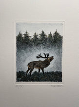 Charger l'image dans la galerie, Nick EDEL (Bordighera 1934-2022 Torino)