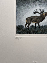 Charger l'image dans la galerie, Nick EDEL (Bordighera 1934-2022 Torino)