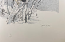 Charger l'image dans la galerie, NicK EDEL (Bordighera 1934-2022 Torino)