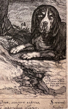 Charger l'image dans la galerie, Jan SAENREDAM (1565-1607)