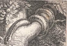 Charger l'image dans la galerie, Jan SAENREDAM (1565-1607)