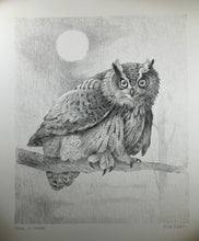 Charger l'image dans la galerie, Nick EDEL (Bordighera 1934-2022 Torino)