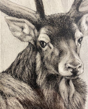 Charger l'image dans la galerie, Nick EDEL (Bordighera 1934-2022 Torino)