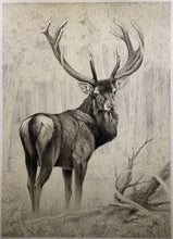 Charger l'image dans la galerie, Nick EDEL (Bordighera 1934-2022 Torino)