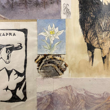 Charger l'image dans la galerie, Nick EDEL (Bordighera 1934-2022 Torino)