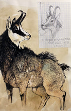 Charger l'image dans la galerie, Nick EDEL (Bordighera 1934-2022 Torino)