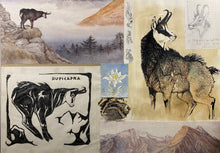 Charger l'image dans la galerie, Nick EDEL (Bordighera 1934-2022 Torino)