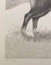 Charger l'image dans la galerie, Nick EDEL (Bordighera 1934-2022 Torino)