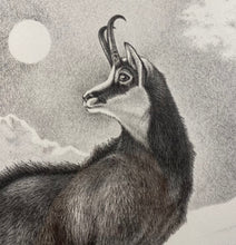 Charger l'image dans la galerie, Nick EDEL (Bordighera 1934-2022 Torino)