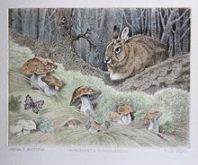 Charger l'image dans la galerie, Nick EDEL (1934-2022)