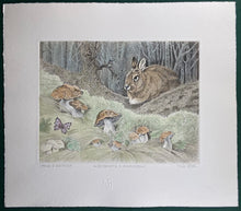 Charger l'image dans la galerie, Nick EDEL (1934-2022)