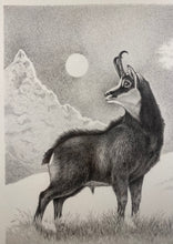 Charger l'image dans la galerie, Nick EDEL (Bordighera 1934-2022 Torino)