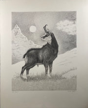 Charger l'image dans la galerie, Nick EDEL (Bordighera 1934-2022 Torino)