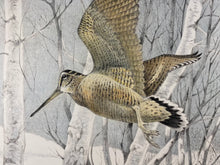 Charger l'image dans la galerie, NicK EDEL (Bordighera 1934-2022 Torino)