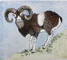 Charger l'image dans la galerie, Nick EDEL (Bordighera 1934-2022 Torino)