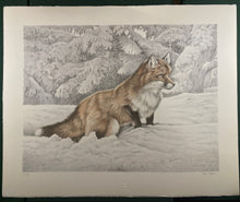 Load image into Gallery viewer, NIck EDEL (1934-2022)