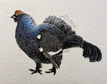 Charger l'image dans la galerie, Nick EDEL (Bordighera 1934-2022 Torino)