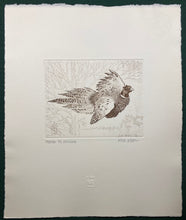 Load image into Gallery viewer, Nick EDEL (1934-2022)