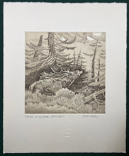 Charger l'image dans la galerie, Nick EDEL (Bordighera 1934-2022 Torino)