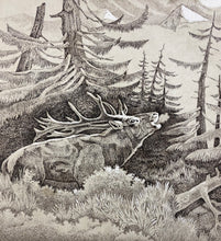 Charger l'image dans la galerie, Nick EDEL (Bordighera 1934-2022 Torino)