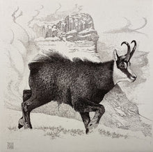 Charger l'image dans la galerie, Nick EDEL (Bordighera 1934-2022 Torino)