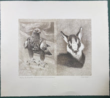 Charger l'image dans la galerie, Nick EDEL (Bordighera 1934-2022 Torino)