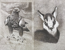 Charger l'image dans la galerie, Nick EDEL (Bordighera 1934-2022 Torino)