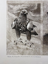 Charger l'image dans la galerie, Nick EDEL (Bordighera 1934-2022 Torino)