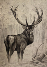 Charger l'image dans la galerie, Nick EDEL (Bordighera 1934-2022 Torino)