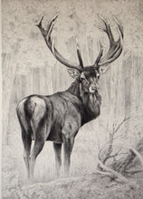 Carica l'immagine nel visualizzatore di Gallery, Nick EDEL (Bordighera 1934-2022 Torino)